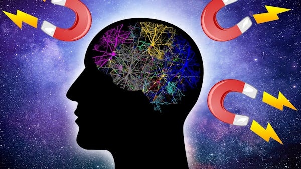 Imagen de un cerebro colorido, sobre la silueta de una cabeza, con imanes alrededor, representando la ley de atracción.